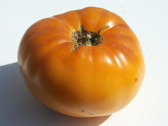 Tomato And Orange